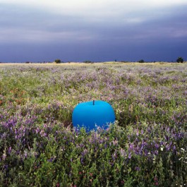 Céramique Pomme Lapis-Lazuli Bleue Ambiance BullStein JardinChic