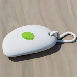 Remote Pebble Smart And Green JardinChic