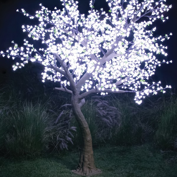 Arbre Pommier Lumineux