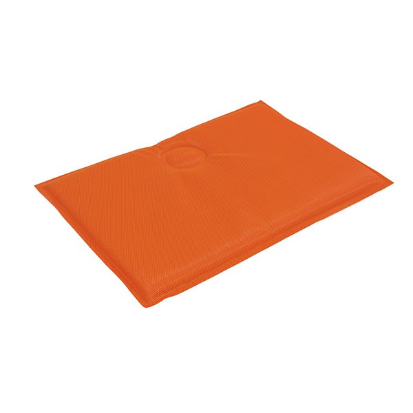 Coussin Magnétique détouré Emu JardinChic Coussin Magnétique détouré Emu JardinChic