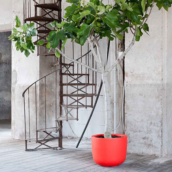 Pot Cup Haut Rouge 1825 JardinChic Pot Cup Haut Rouge 1825 JardinChic