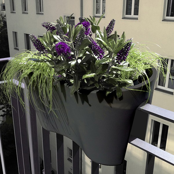 Jardiniere De Balcon Steckling Duo Jardinchic