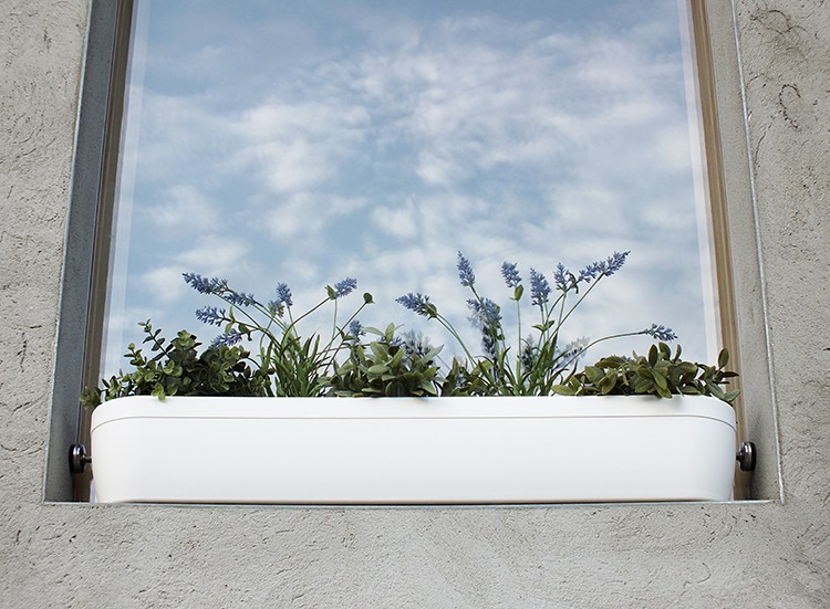 rephorm Jardinière pour Rebord de Fenêtre Windowgreen - Bloomling France