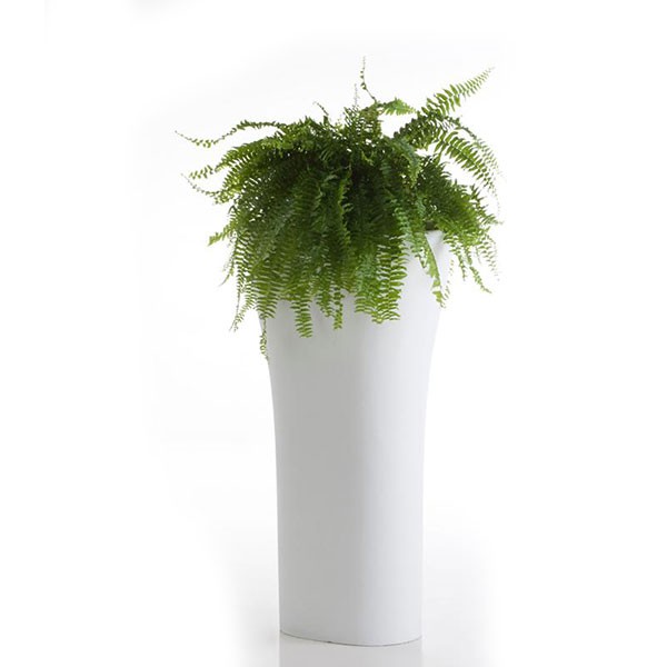 pot-100-bones-vondom-jardinchic pot-100-bones-vondom-jardinchic