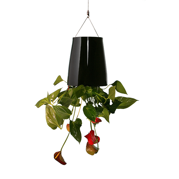 Jardinière Sky Planter Medium Noir Boskke JardinChic Jardinière Sky Planter Medium Noir Boskke JardinChic