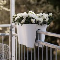 Balcony Planter Steckling Duo