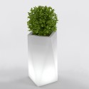 Eris Pot Light