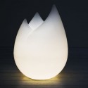 Lamp Flame