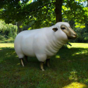 Sheep Head Gold White Statue