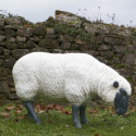 Statue Sheep Head Lower