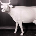 Statue Cow White
