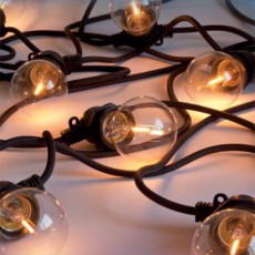 Bella Vista Clear Light Garland