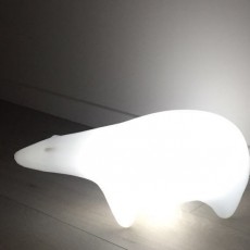 Polar Bear Bright