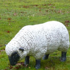 Statue Mini Sheep Head Bass 