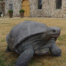 The Galapagos Turtle Statue