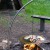 Barbecue Spear With Plancha Steel