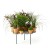 Planters Green Pads-presenter