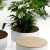 Round Green Pedestals Planter
