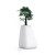 Pot Top Moma