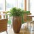 Inside Mellow Jardiniere