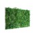 Table Plant VanGreen Maxi