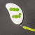 Remote Control Key