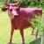 Statue Cow Rose