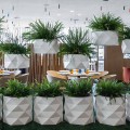 Suspended Pot Marquis