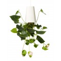 Sky Planter Plant Recycled