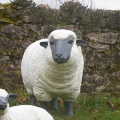 Sheep Head Statue