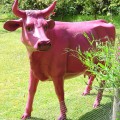 Statue Cow Rose