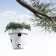 Pot Mangeoire O-Nest-O Laqué Blanc DeCastelli JardinChic