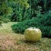 Céramique Pomme Brillante Giant Ambiance BullStein JardinChic