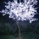 Arbre Pommier Lumineux Blanc Froid TexArtes Jardinchic