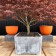 Pots Axel Oranges Bac Zinc Domani JardinChic