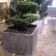 Bac Zinc Arbre Domani JardinChic