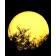 Boule Lumineuse LED  Sphère 01 JardinChic