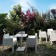 Lot de 4 Fauteuils Empilables TOY Terrasse Driade JardinChic