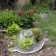 Cloche à salade Jardinchic