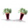 Détail de 2 Carottes à Planter Lilas Force Jardinchic