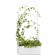 Jardinière / Treille Green Divider Jardinière Offecct JardinChic