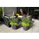 Pot Tokyo Ambiance Eternit JardinChic