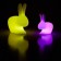 Rabbit Lamp Small LED with battery - LED Pink and Rabbit Lamp LED Yellow (sold apart) Qeeboo Jardinchic
