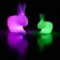 Rabbit Lamp Small LED with battery - LED Green and Rabbit Lamp LED Pink (sold apart) Qeeboo Jardinchic