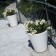 Pots New Pot Blanc Pur Serralunga Jardinchic