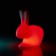 Rabbit Lamp Small LED with battery - LED Red Qeeboo Jardinchic
