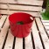 Petite Vasque Rouge Laorus JardinChic