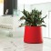 Pot Bas Novo Rouge Hobby Flower JardinChic