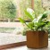 Jardiniere Cube Acier Corten De Castelli Jardinchic