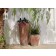 Pots Oxidized Skin MyYour JardinChic